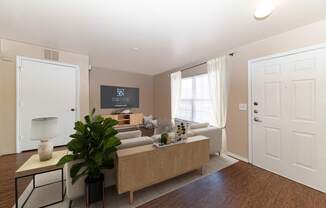 A living room with a couch, a plant, and a lamp.
