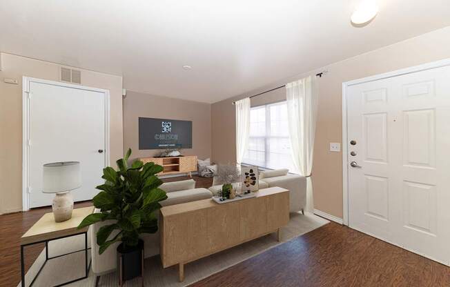 A living room with a couch, a plant, and a lamp.