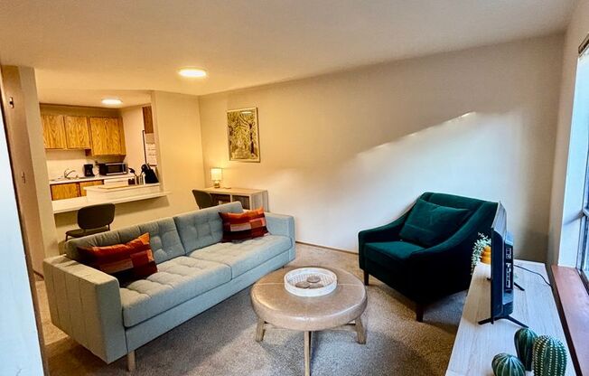 1 bed, 1 bath, 507 sqft, $1,795, Unit 103