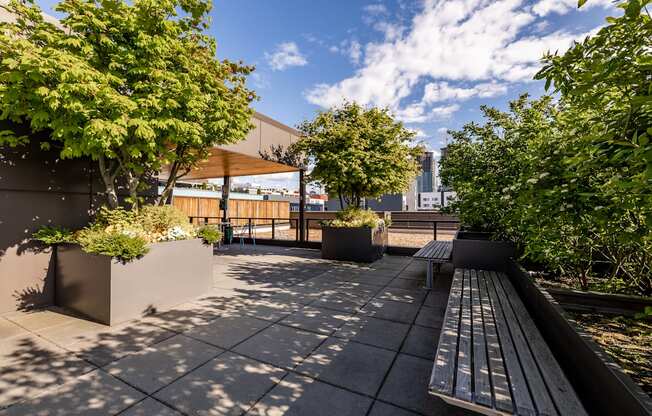 a seating area with benches and trees on a roof top