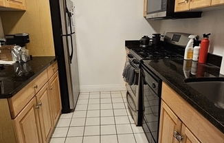 1 bed, 1 bath, 870 sqft, $3,100, Unit 407