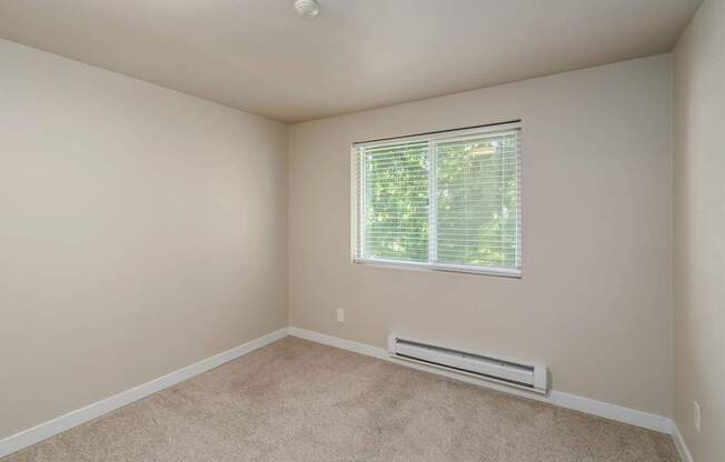Spacious second bedroom with large window at Quartz Creek Apartments in Mountlake Terrace, WA