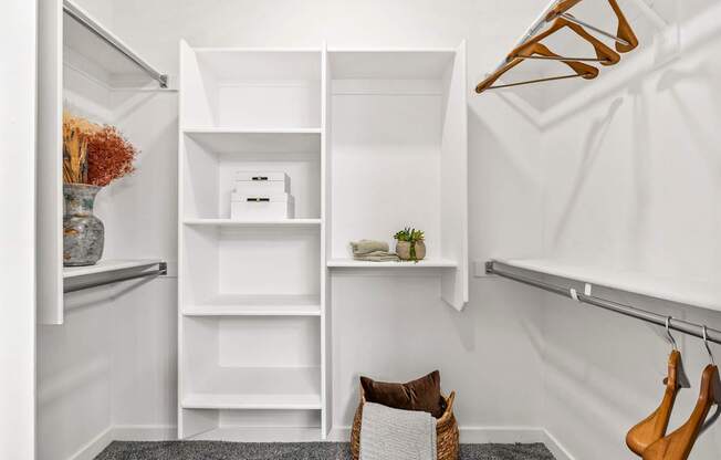 A white closet with a hanging rack and shelves.