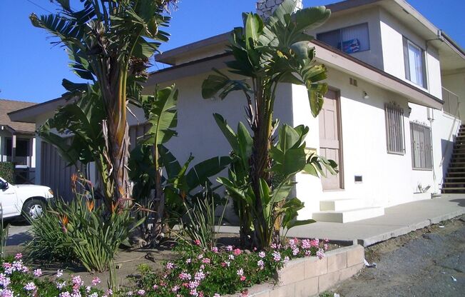 Memorial Apartments- Super Clean 2 Bedroom 1 Bath Apartment in Memorial Heights