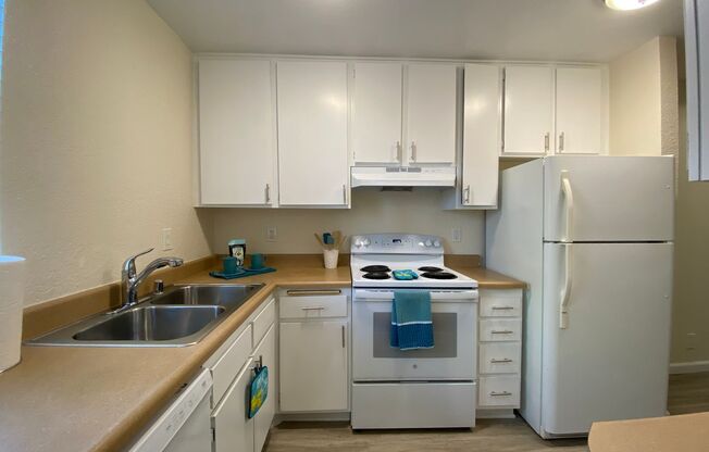 237 - 239 Tamarack Ave.