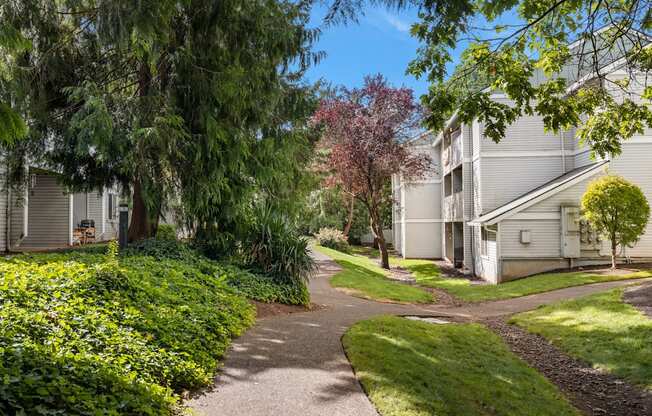 An apartment common area with a pathway and greenery at Clackamas Trails Apartments, Oregon, 97222