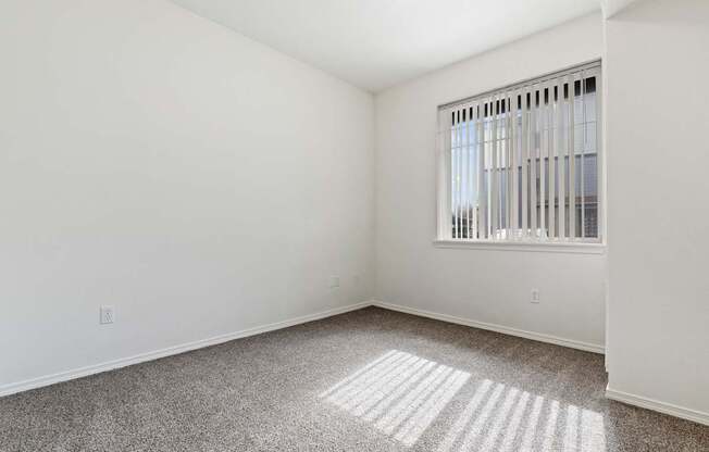 A room with a window and a carpet on the floor.