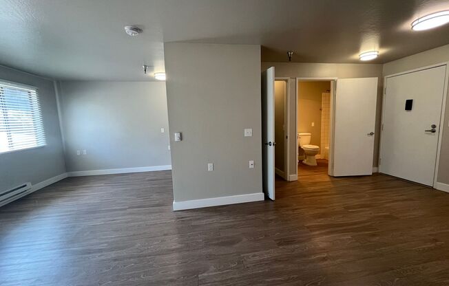 Studio, 1 bath, 480 sqft, $1,450, Unit 228