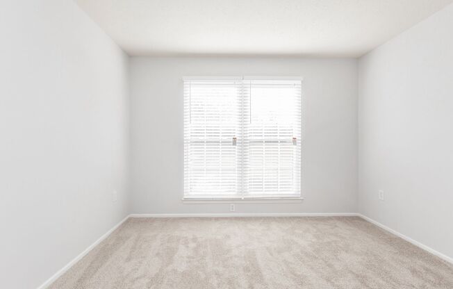 1 bed, 1 bath, 724 sqft, $1,499, Unit 10 - 1006