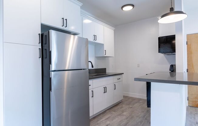 1 bed, 1 bath, 500 sqft, $1,495