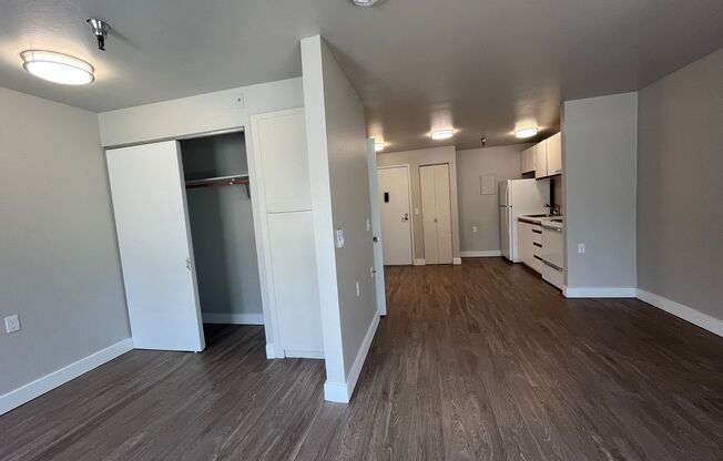 Studio, 1 bath, 480 sqft, $1,450, Unit 228
