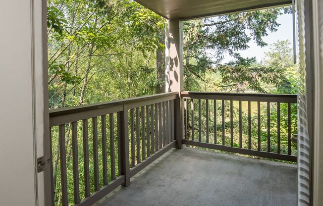 Stillwater Apartments Vacant Apartment Deck & Wooded View