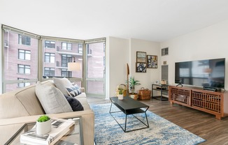 Modern Living Room at Elm Street Plaza, Chicago, 60610