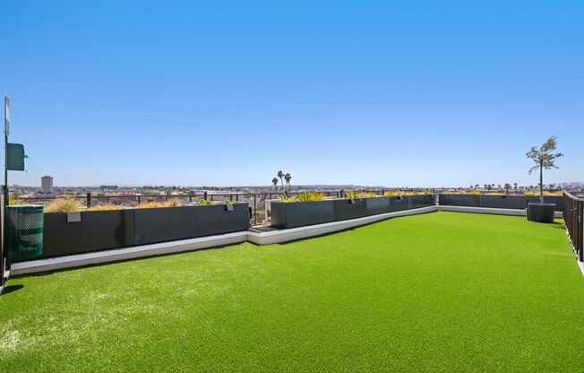 1 bed, 1 bath, 584 sqft, $2,350, Unit 312