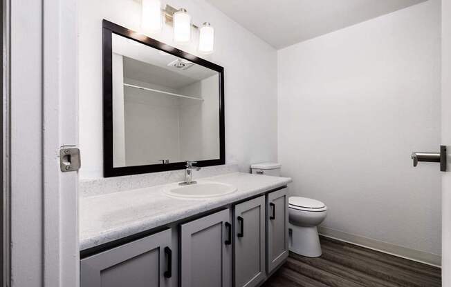 A bathroom with a toilet, sink, and mirror.