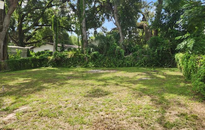 Renovated 4/2 Home Tampa Available Now