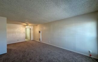 2 beds, 1 bath, 825 sqft, $850, Unit 1006 Williamson Dr (C)