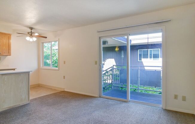 1 bed, 1 bath, $1,150, Unit 11