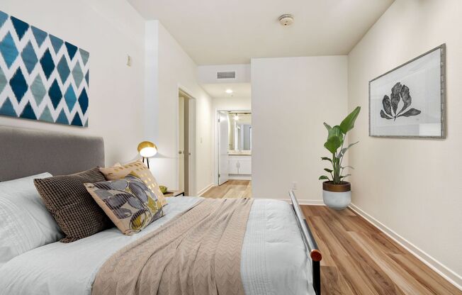1 bed, 1 bath, 604 sqft, $2,900, Unit 215 P