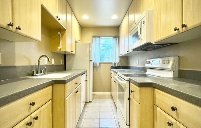 10556 Midvale Ave N #101