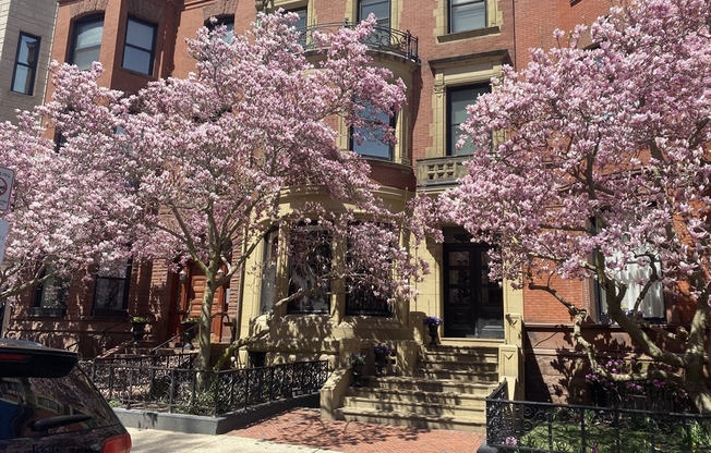 213 COMMONWEALTH AVE
