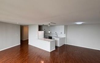 505 N Lake Shore Dr. 1407-1408, Chicago, 60611