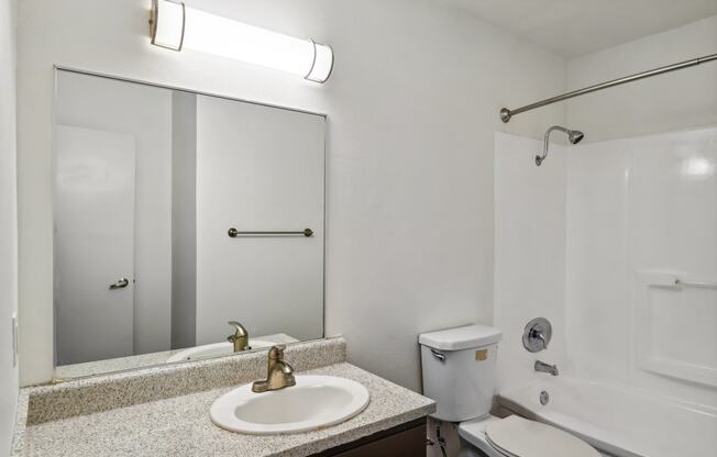 a bathroom with a sink and a mirror and a toilet