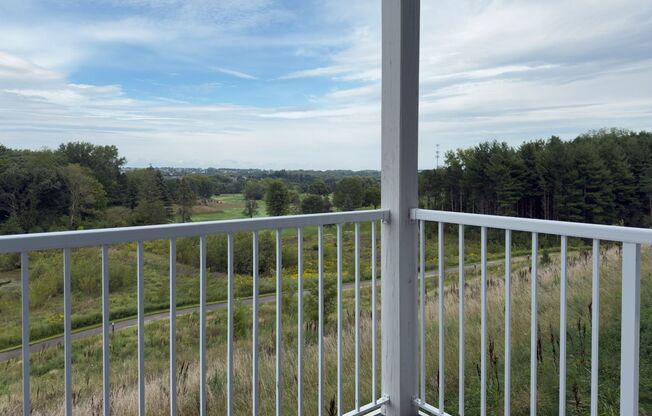 2 beds, 2 baths, 983 sqft, $1,800, Unit 3 - 106