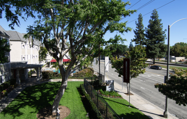 A tree in a grassy area with a building in the background.