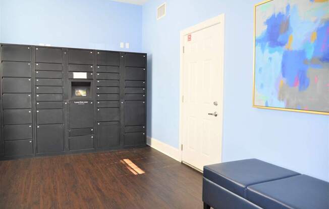 A room with a large black cabinet and a white door.