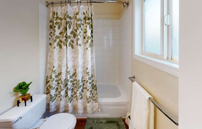 Village at Calais Bathroom