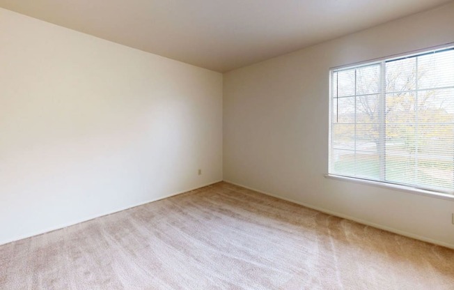 bedroom with a large window and plush carpeting