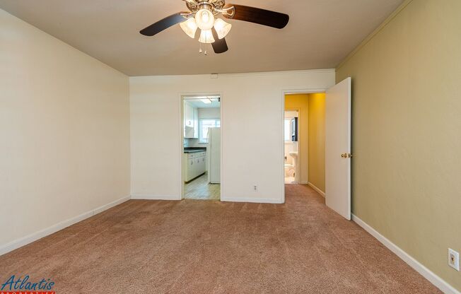 Studio, 1 bath, 374 sqft, $1,745, Unit 11