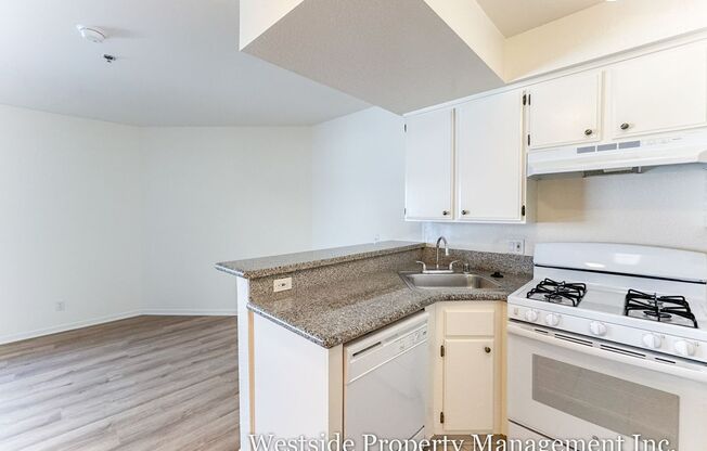 Studio, 1 bath, 350 sqft, $1,785, Unit 304