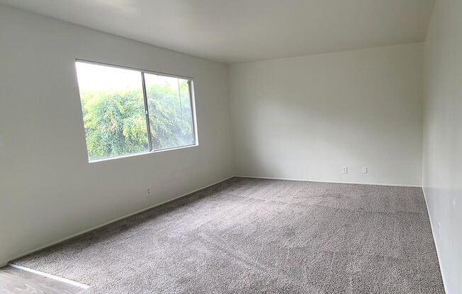 1 bed, 1 bath, $1,800, Unit 5