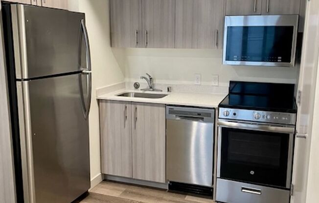 Studio, 1 bath, 242 sqft, $1,095, Unit 316