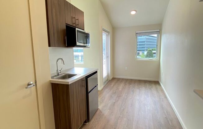Studio, 1 bath, 175 sqft, $1,099, Unit 517