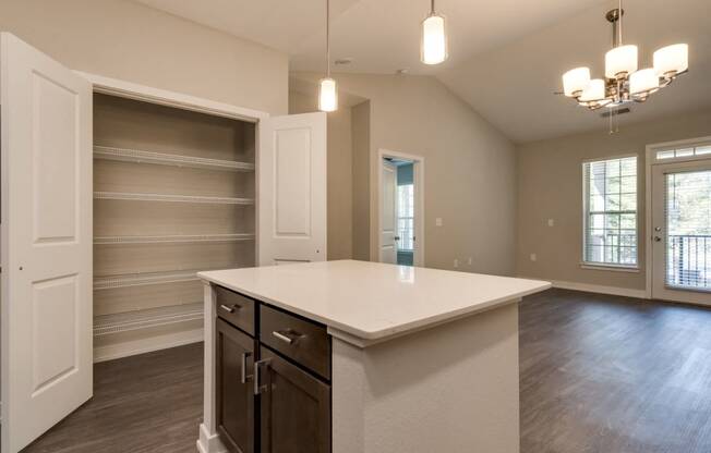 Kitchen Pantry Storage (Premier Floor Plan) at Emerald Creek Apartments, Greenville