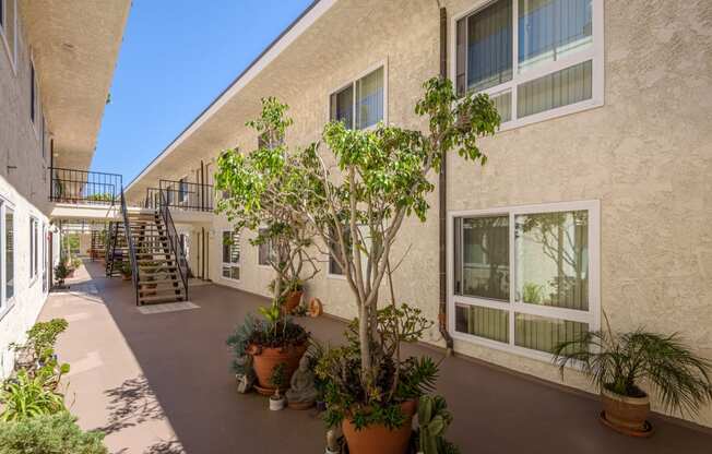 a courtyard with potted plants and a building with stairs