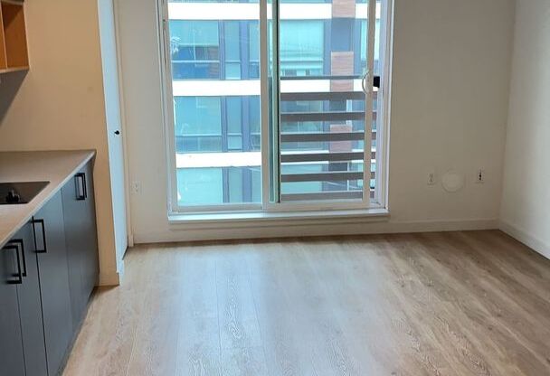 Studio, 1 bath, 246 sqft, $1,375, Unit 214