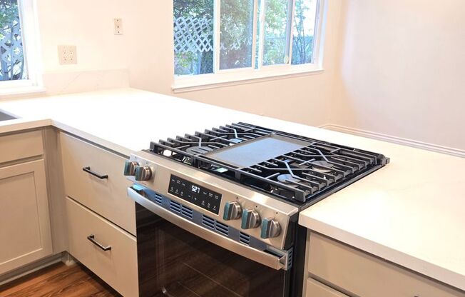 Newly-Remodeled RPV Family Home with a View