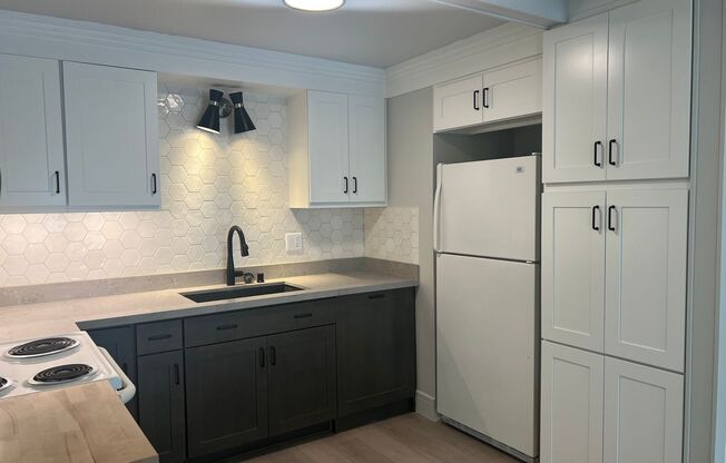 1 Month Free Rent!! - Newly Remodeled Condo on Capitol Hill