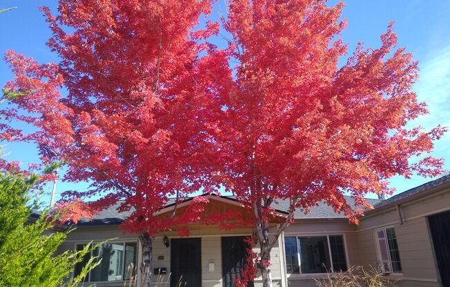 Mountain & City Views 2 Bed, 1 Bath Duplex on a Hill