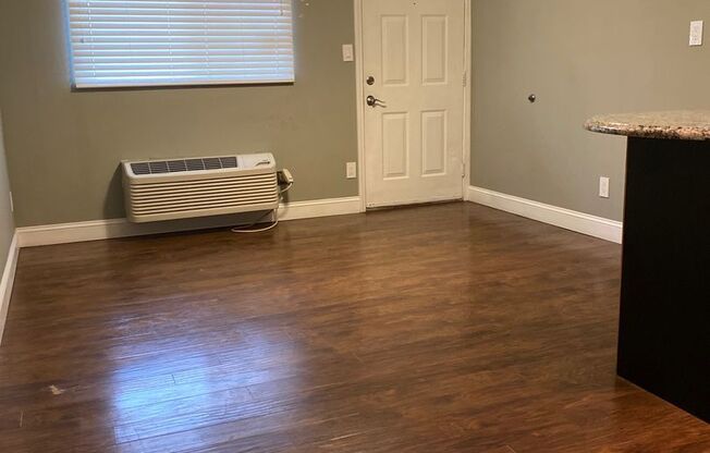 Updated 1BR Condo at Evian Towers | In-Unit Laundry, City Views, Walk to UTK