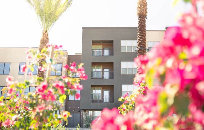 A building with a palm tree in front of it.