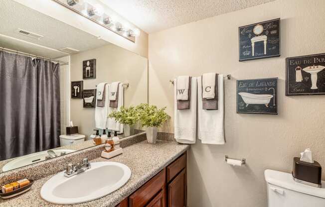 Model Bathroom at Walnut Creek Crossing Apartments in Austin, Texas, TX