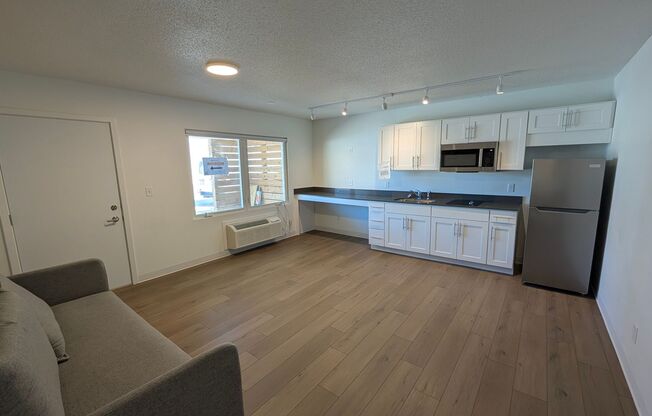 Studio, 1 bath, 487 sqft, $1,010, Unit 203