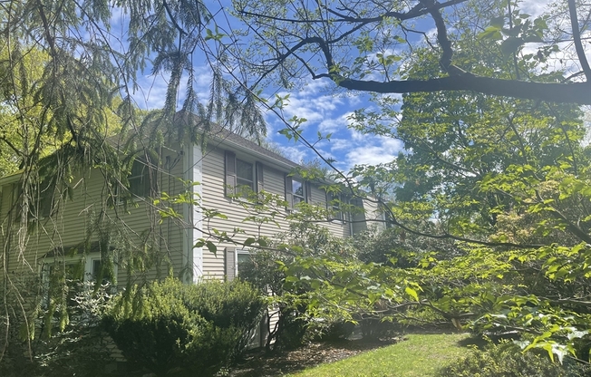 4 PADDOCK LN