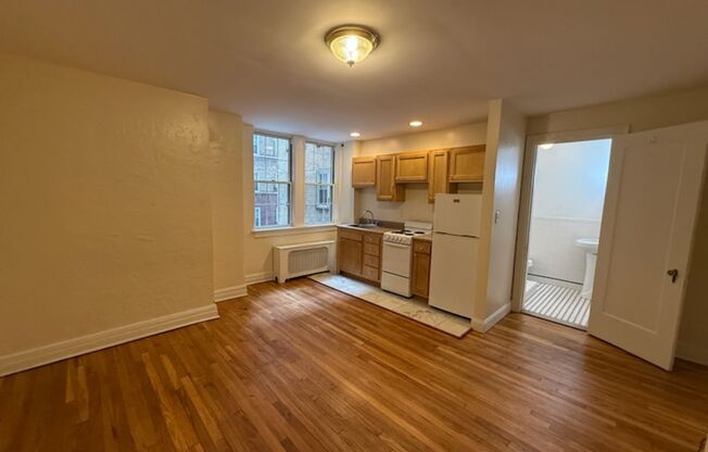 Studio, 1 bath, 294 sqft, $1,225, Unit New King Edward 210