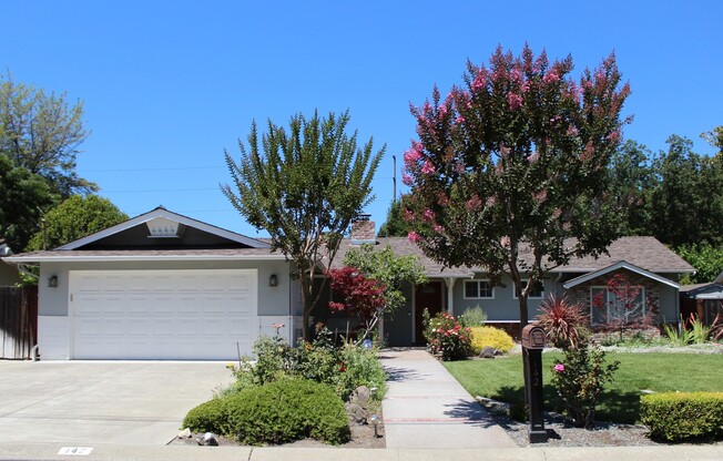 Charming Single Story Home with Beautiful Pool & Backyard in a Convenient Walnut Creek Location
